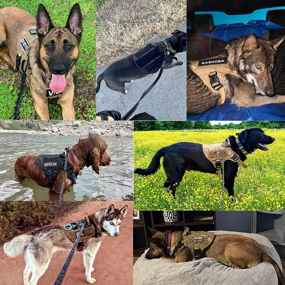 Military Large Dog Harness Collar Leash Bags Patches Set Pet Malinois Training Vests Tactical K9 Dogs Harnesses Accessories