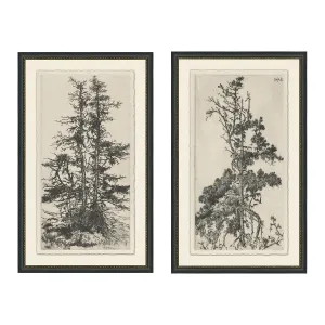 Tree I & II