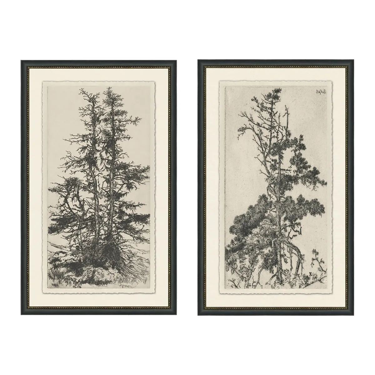 Tree I & II
